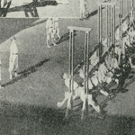 小學校に於ける體操(その一) 男兒の懸垂<br>Chin-up exercise for boys at Tsukiji Primary School<br>Source: 兒童の衛生, 1921