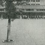 東京市誠之尋常小學校の木練瓦運動場<br>Sportsground made of wooden tiles at Seishi Primary School<br>Source: 兒童の衛生, 1921