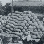 新宿配給所 (九月十八日)<br>Shinjuku relief distribution depot, 18 September 1923<br>Source: 東京震災錄, 1926